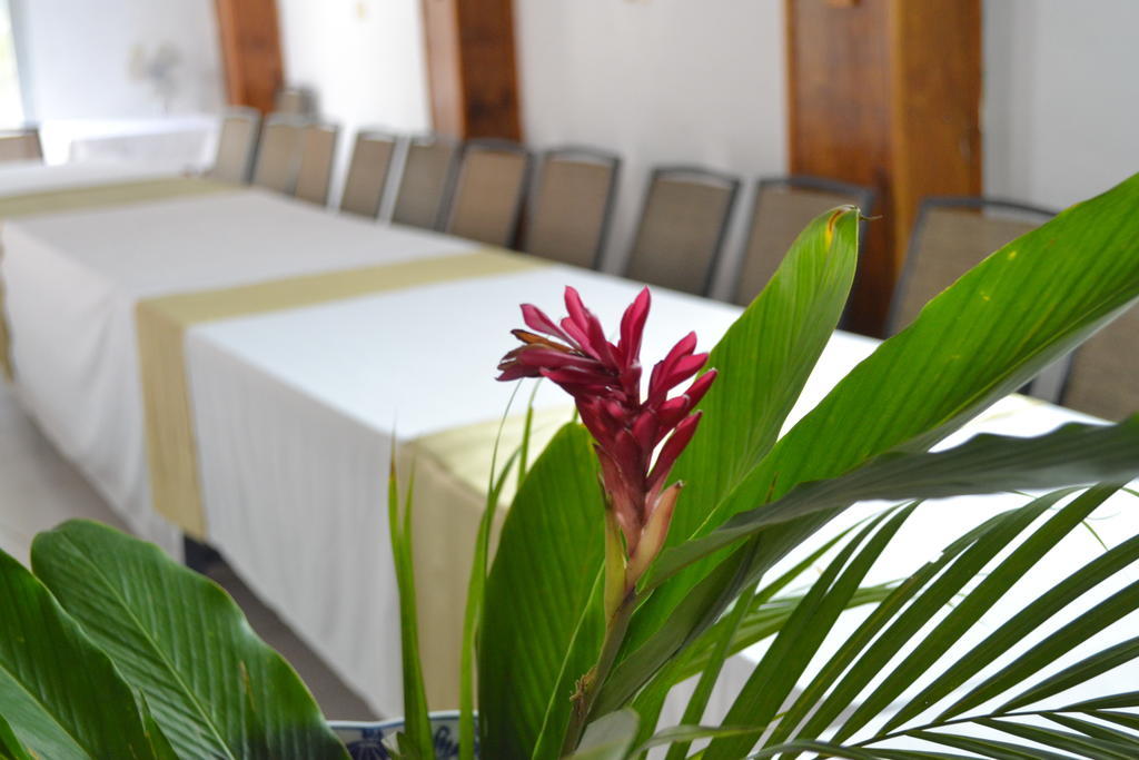Pacot Breeze Hotel Musseau Εξωτερικό φωτογραφία