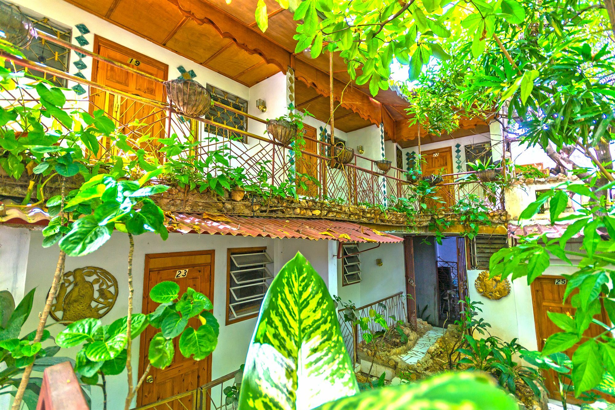 Pacot Breeze Hotel Musseau Εξωτερικό φωτογραφία